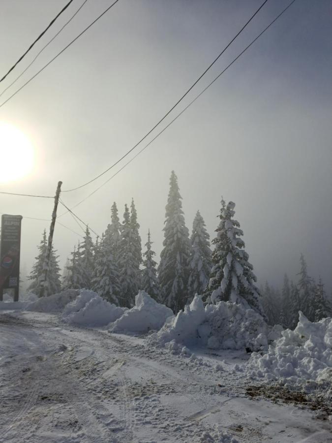 Pensiunea Alpin Rânca Kültér fotó