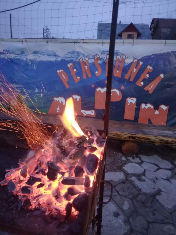 Pensiunea Alpin Rânca Kültér fotó
