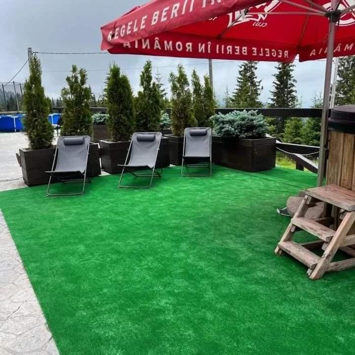 Pensiunea Alpin Rânca Kültér fotó